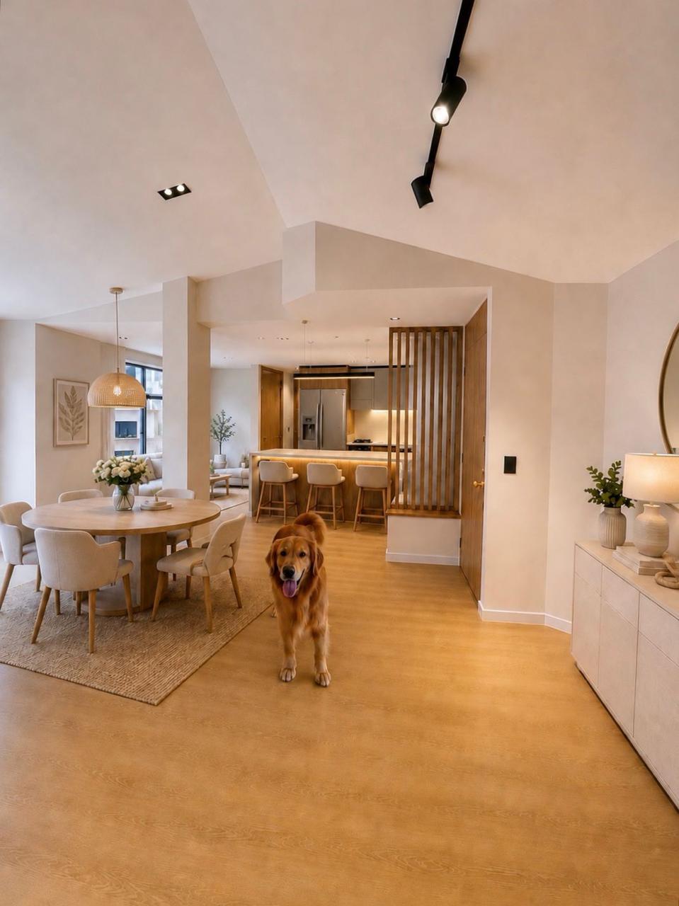 Interior del apartamento 1